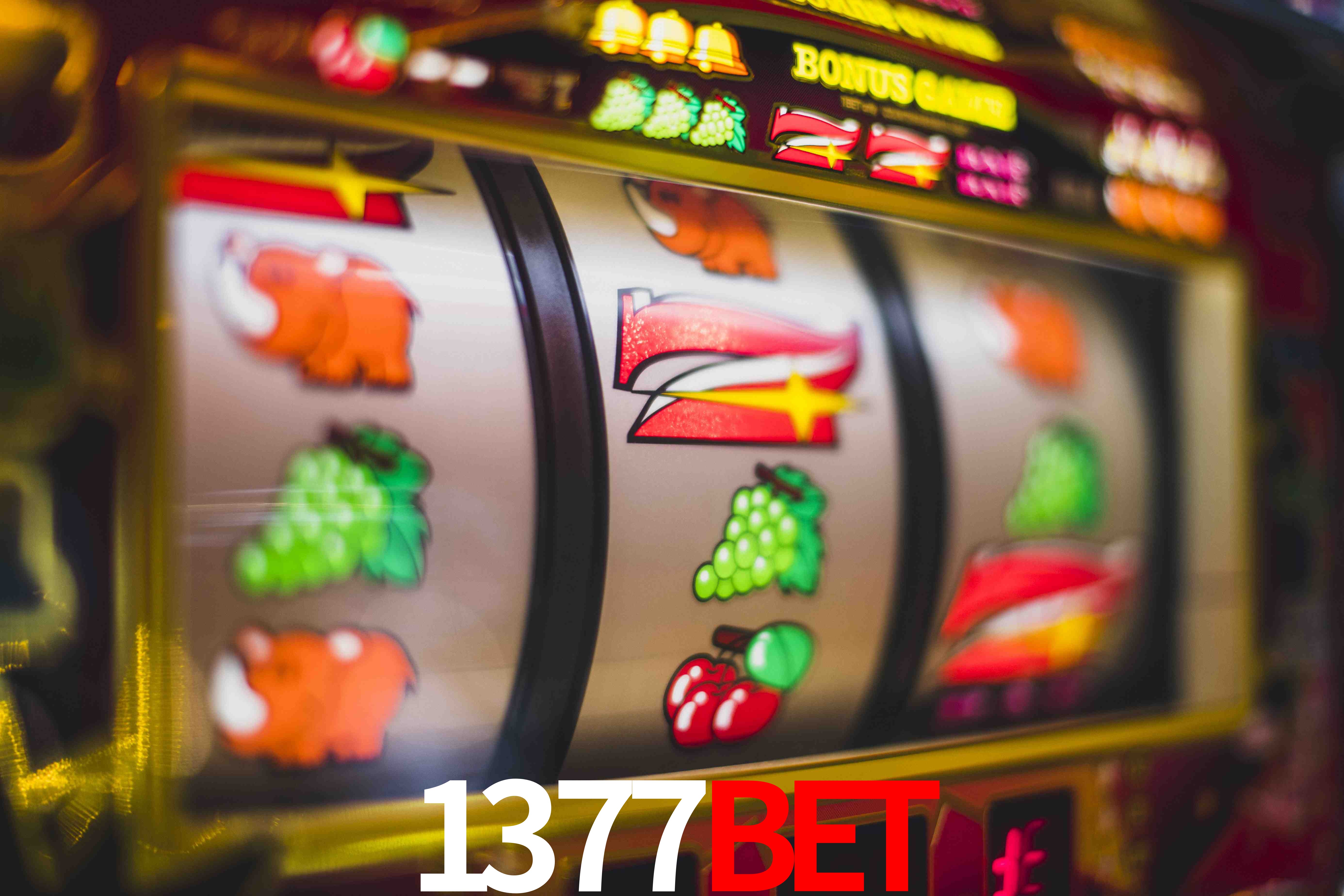 Football Betting 1377bet
